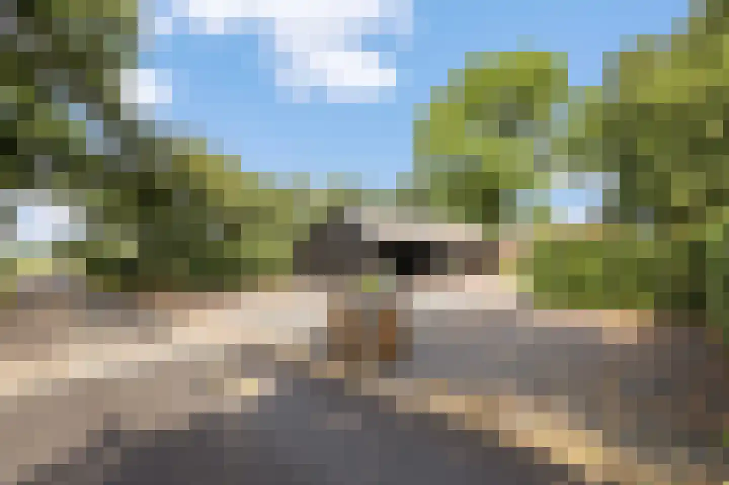 Jogchem Alberdaweg 9 Jubbega thumbnail 38