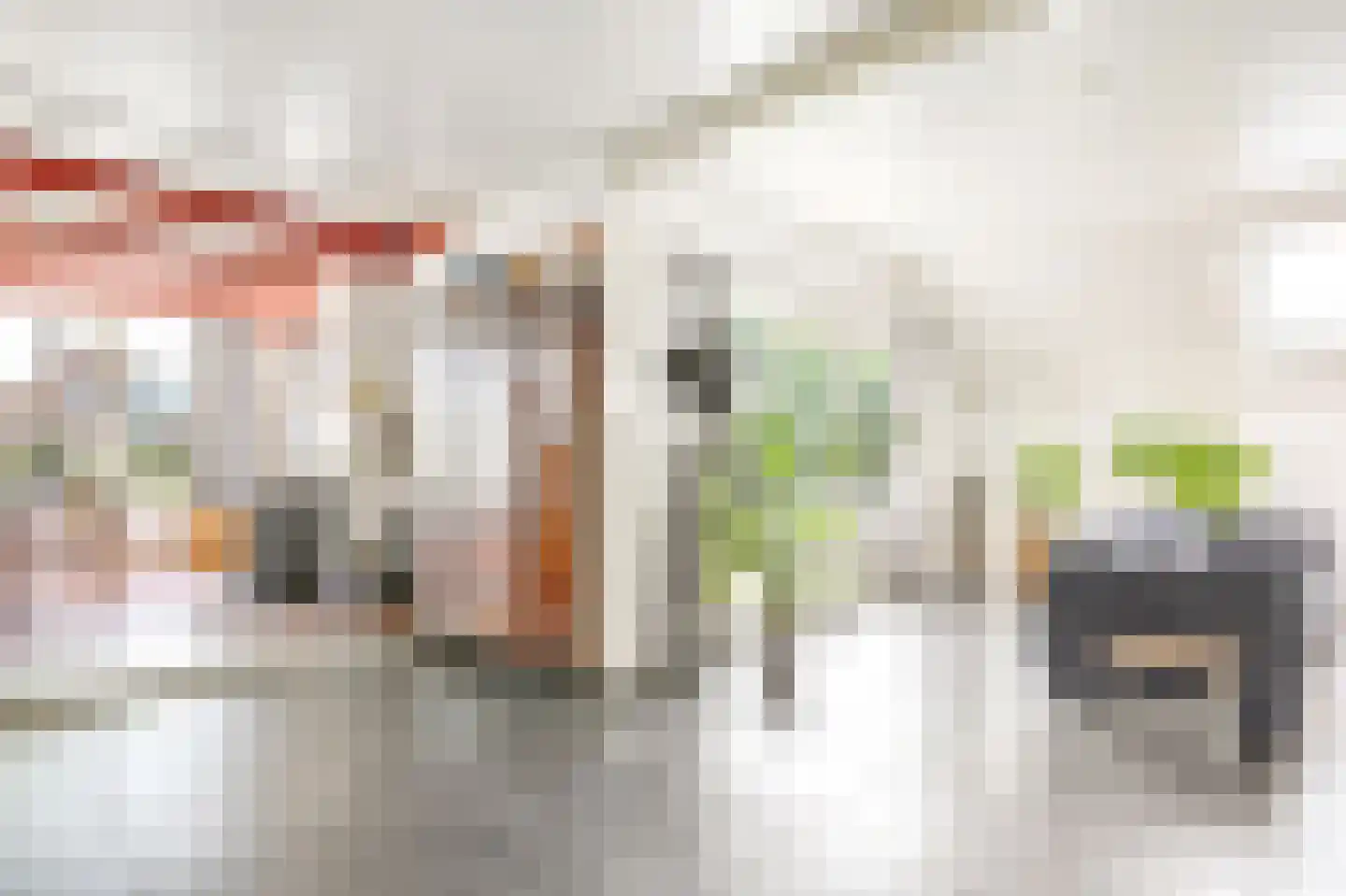 Jogchem Alberdaweg 9 Jubbega thumbnail 8