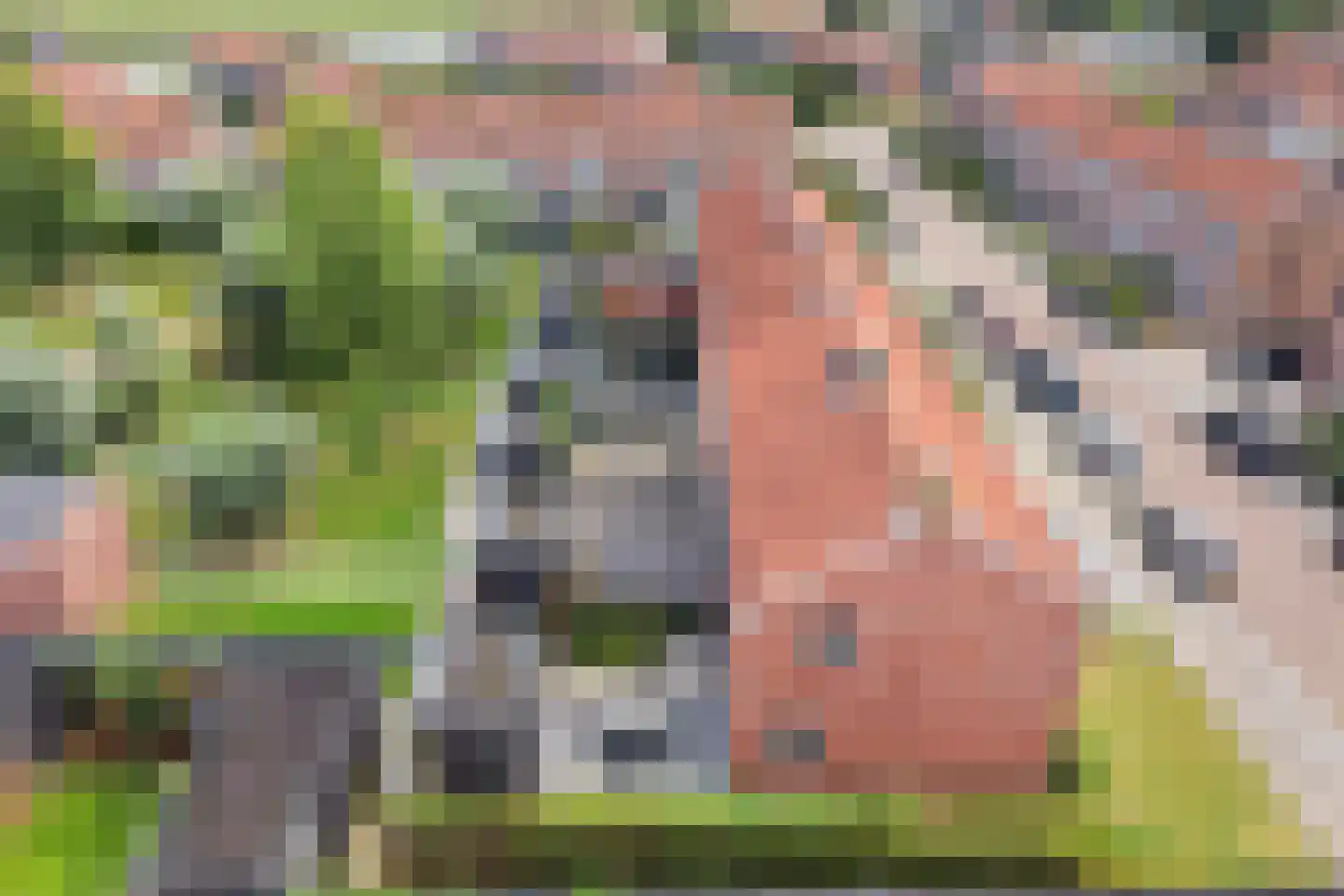 Jogchum Nieuwenhuisstrjitte 23 Grou thumbnail 30
