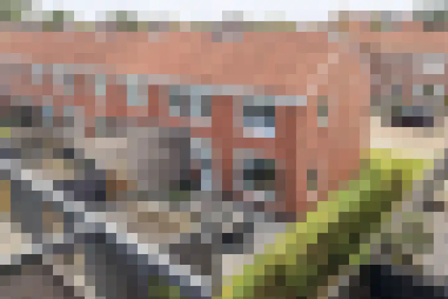 Jogchum Nieuwenhuisstrjitte 23 Grou thumbnail 4
