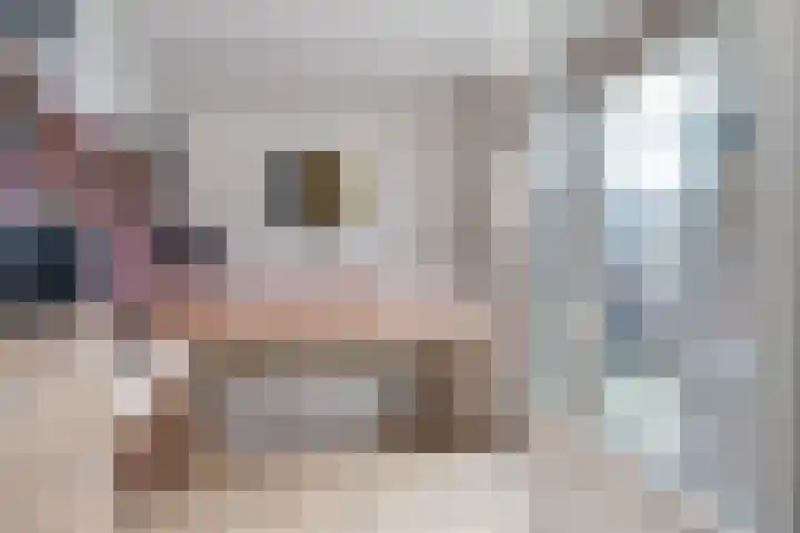 Jogchum Nieuwenhuisstrjitte 25 Grou thumbnail 11