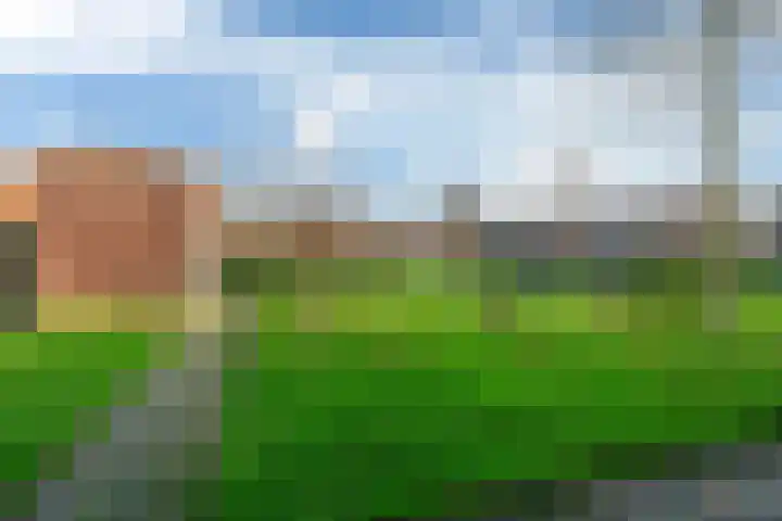 Jogchum Nieuwenhuisstrjitte 25 Grou thumbnail 36