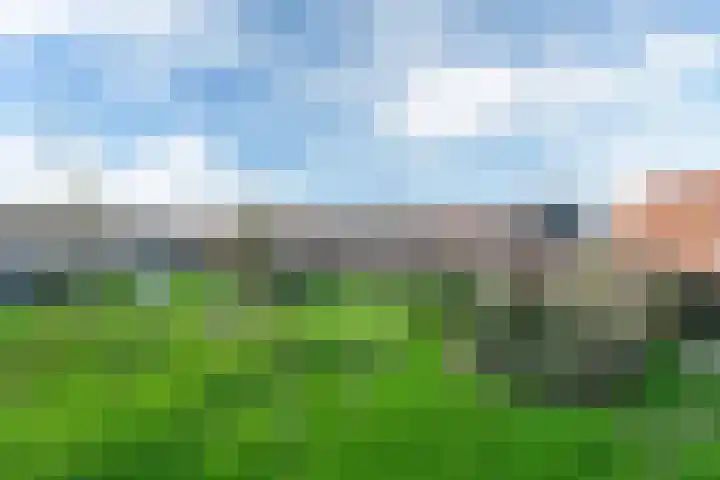 Jogchum Nieuwenhuisstrjitte 25 Grou thumbnail 37