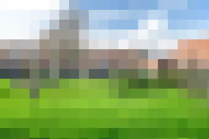 Jogchum Nieuwenhuisstrjitte 25 Grou thumbnail 38