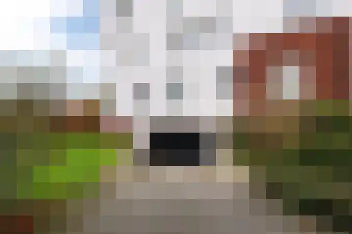 Jogchum Nieuwenhuisstrjitte 6 c Grou thumbnail 29