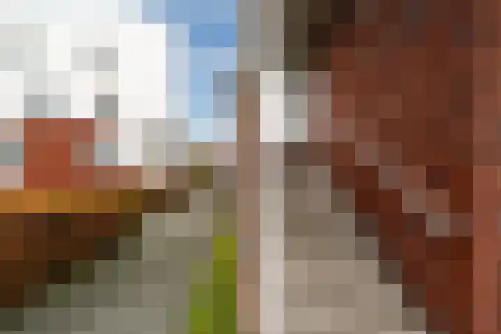 Jogchum Nieuwenhuisstrjitte 6 c Grou thumbnail 31