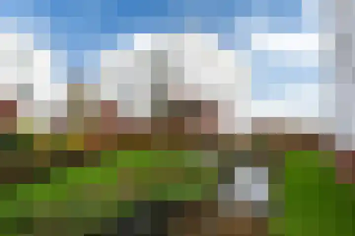 Jogchum Nieuwenhuisstrjitte 6 c Grou thumbnail 34
