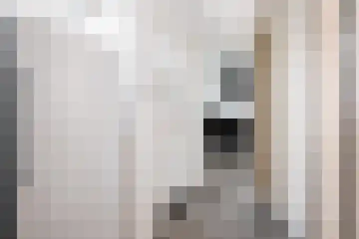 Jogchum Nieuwenhuisstrjitte 80 Grou thumbnail 11