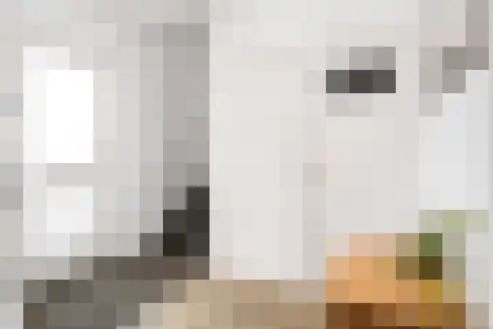 Jogchum Nieuwenhuisstrjitte 80 Grou thumbnail 15
