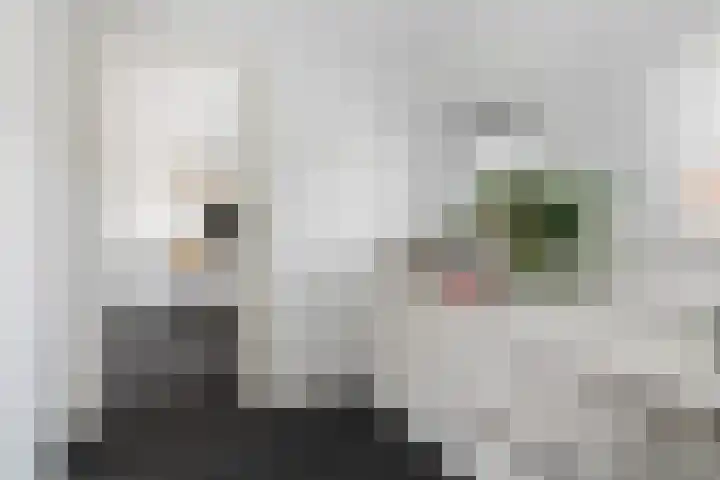 Jogchum Nieuwenhuisstrjitte 80 Grou thumbnail 16