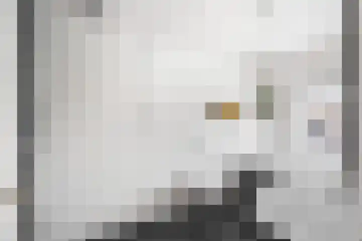 Jogchum Nieuwenhuisstrjitte 80 Grou thumbnail 23