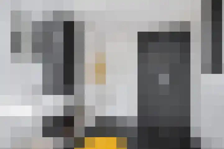 Jogchum Nieuwenhuisstrjitte 80 Grou thumbnail 24