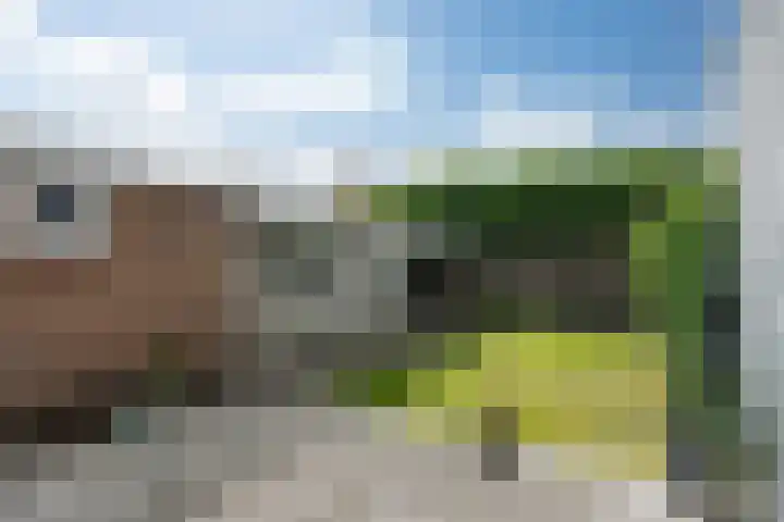 Jogchum Nieuwenhuisstrjitte 80 Grou thumbnail 26