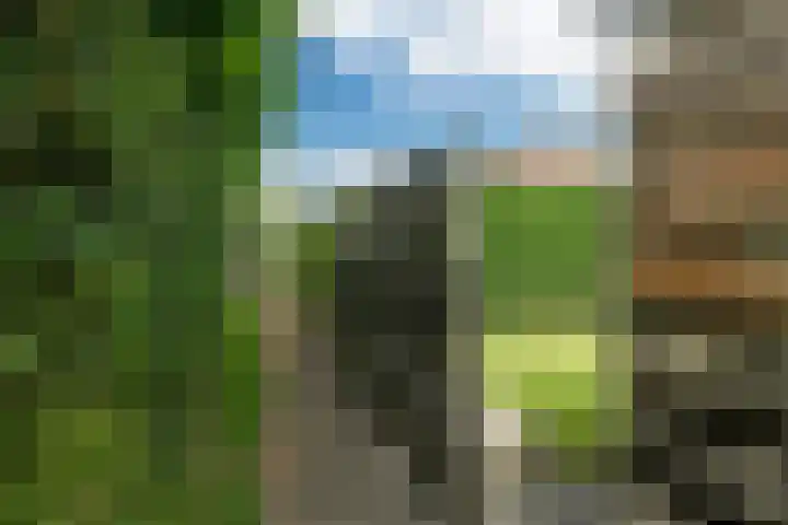 Jogchum Nieuwenhuisstrjitte 80 Grou thumbnail 29
