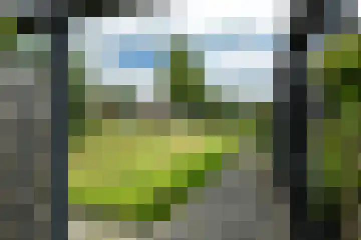 Jogchum Nieuwenhuisstrjitte 80 Grou thumbnail 33