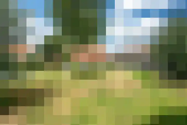 Jogchum Nieuwenhuisstrjitte 80 Grou thumbnail 34