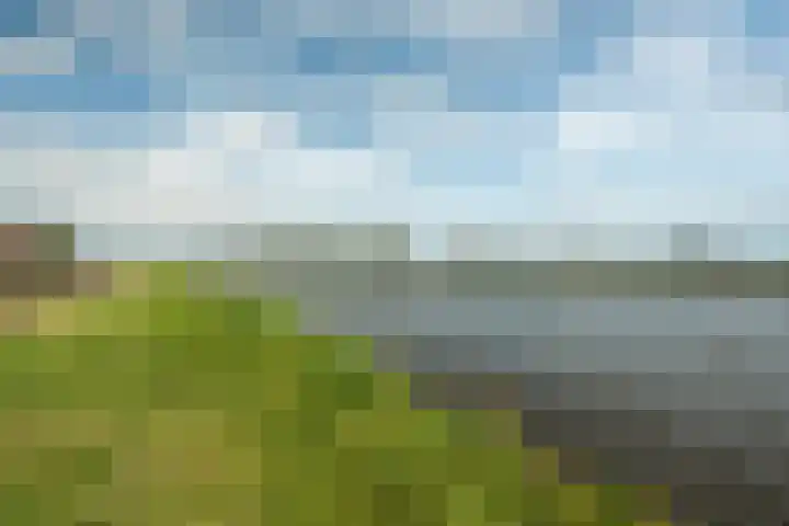 Jogchum Nieuwenhuisstrjitte 80 Grou thumbnail 36