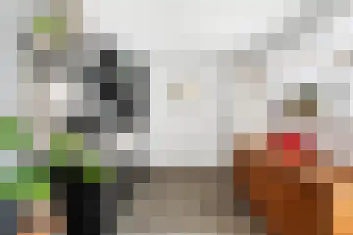 Jogchum Nieuwenhuisstrjitte 80 Grou thumbnail 9