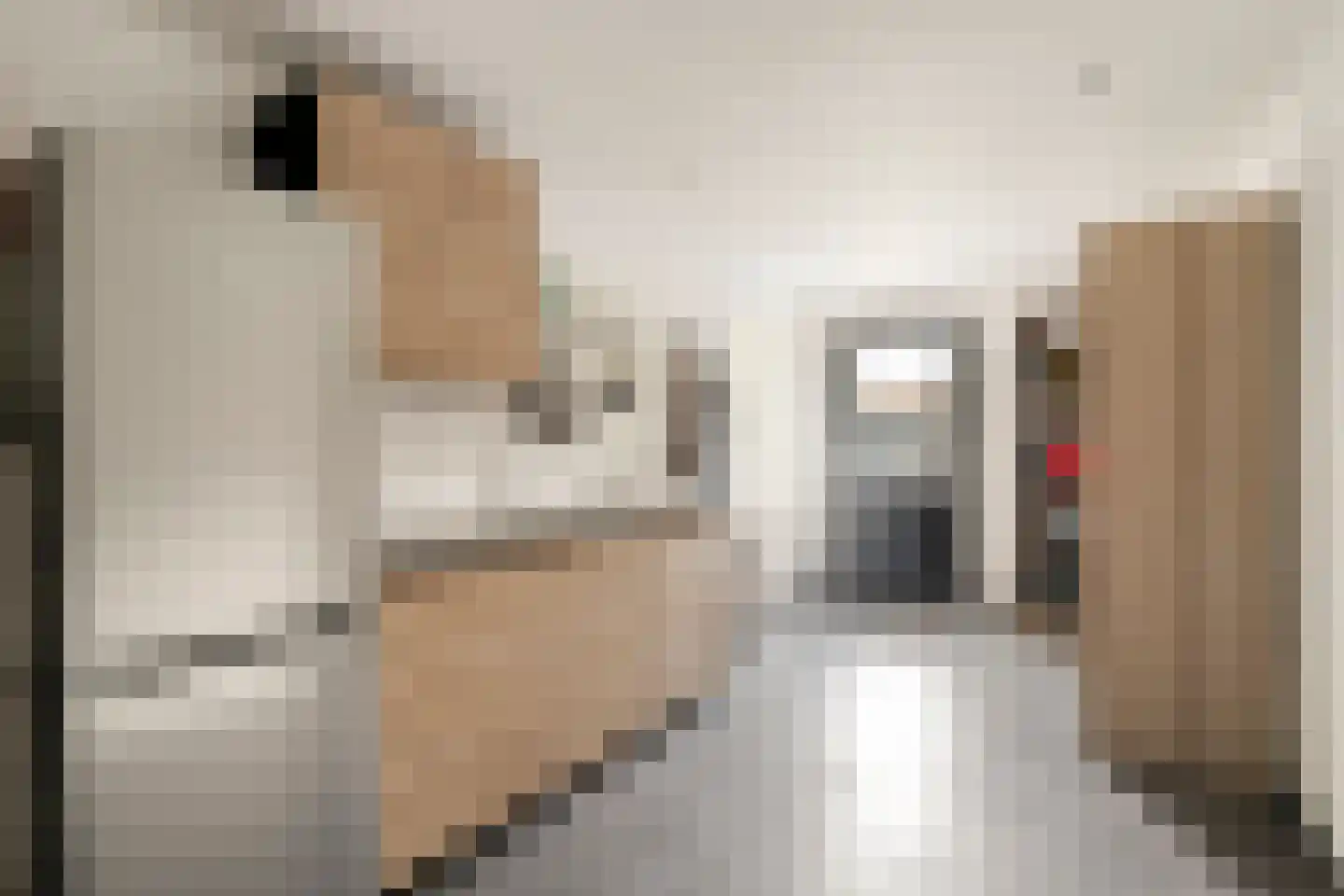 Joggerspad 37 Biddinghuizen thumbnail 23