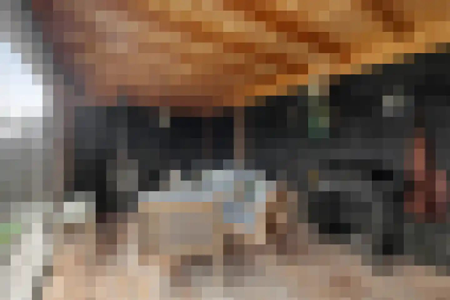 Joggerspad 37 Biddinghuizen thumbnail 51