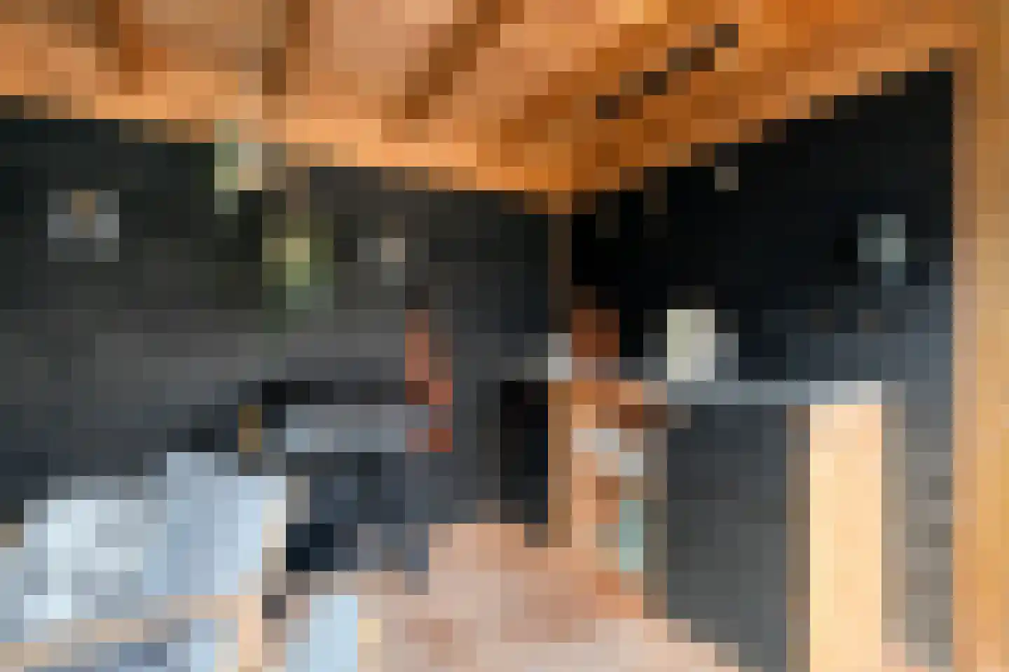 Joggerspad 37 Biddinghuizen thumbnail 54