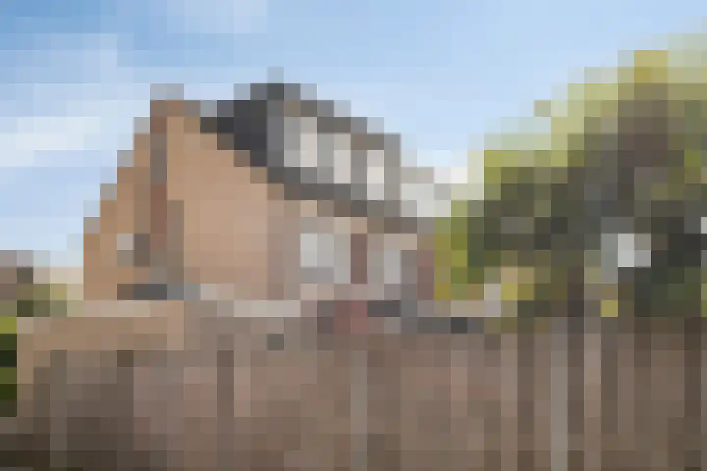 Joggerspad 37 Biddinghuizen thumbnail 60
