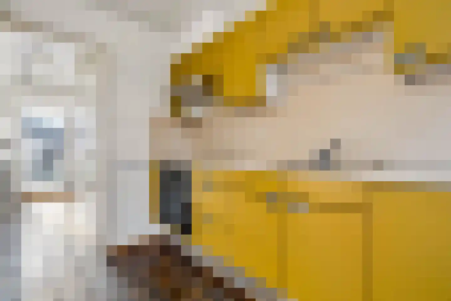 Joh de Kruijfstraat 6 Bunnik thumbnail 16