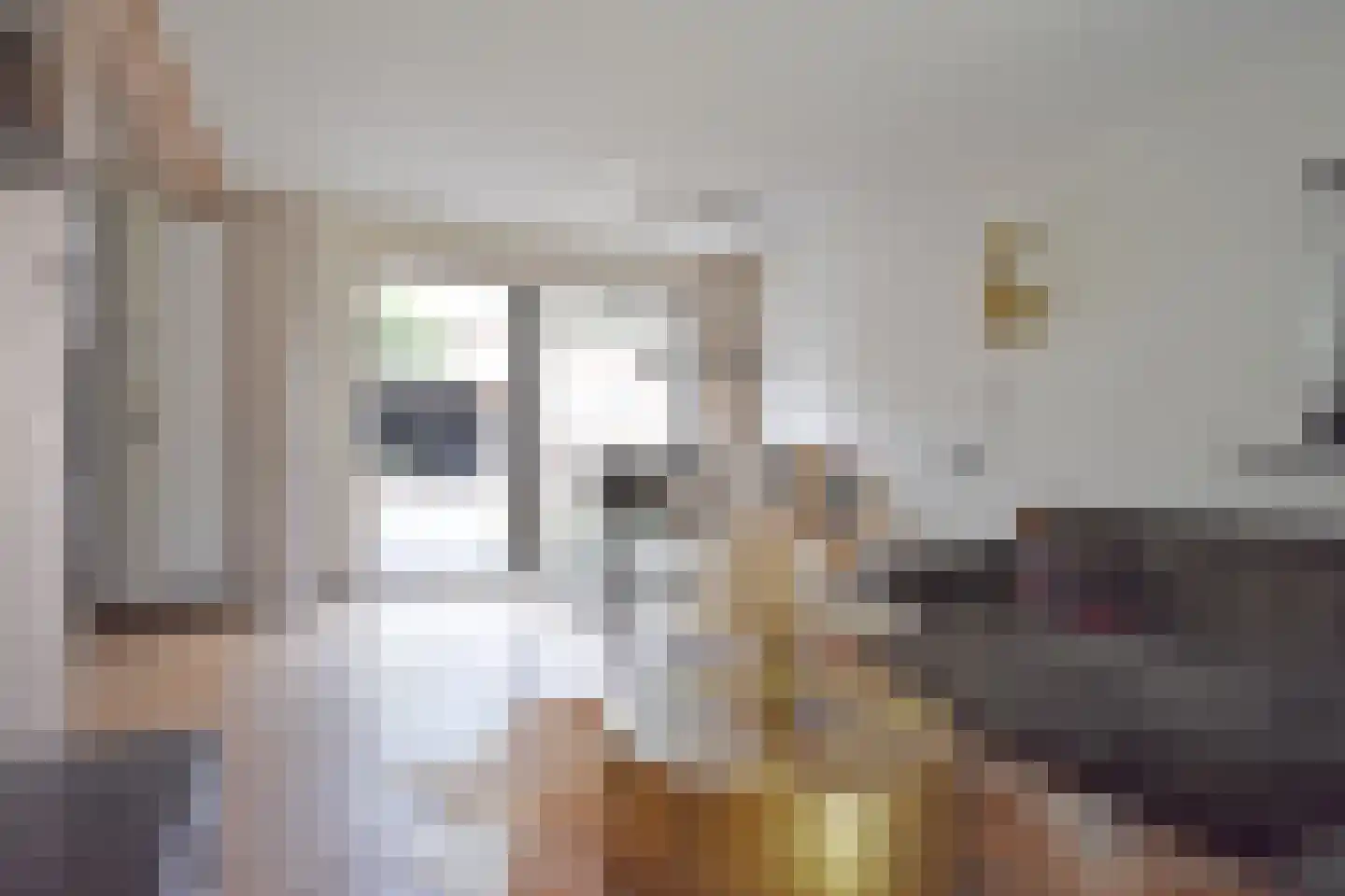 Joh. Falkenastraat 31 Burgum thumbnail 23