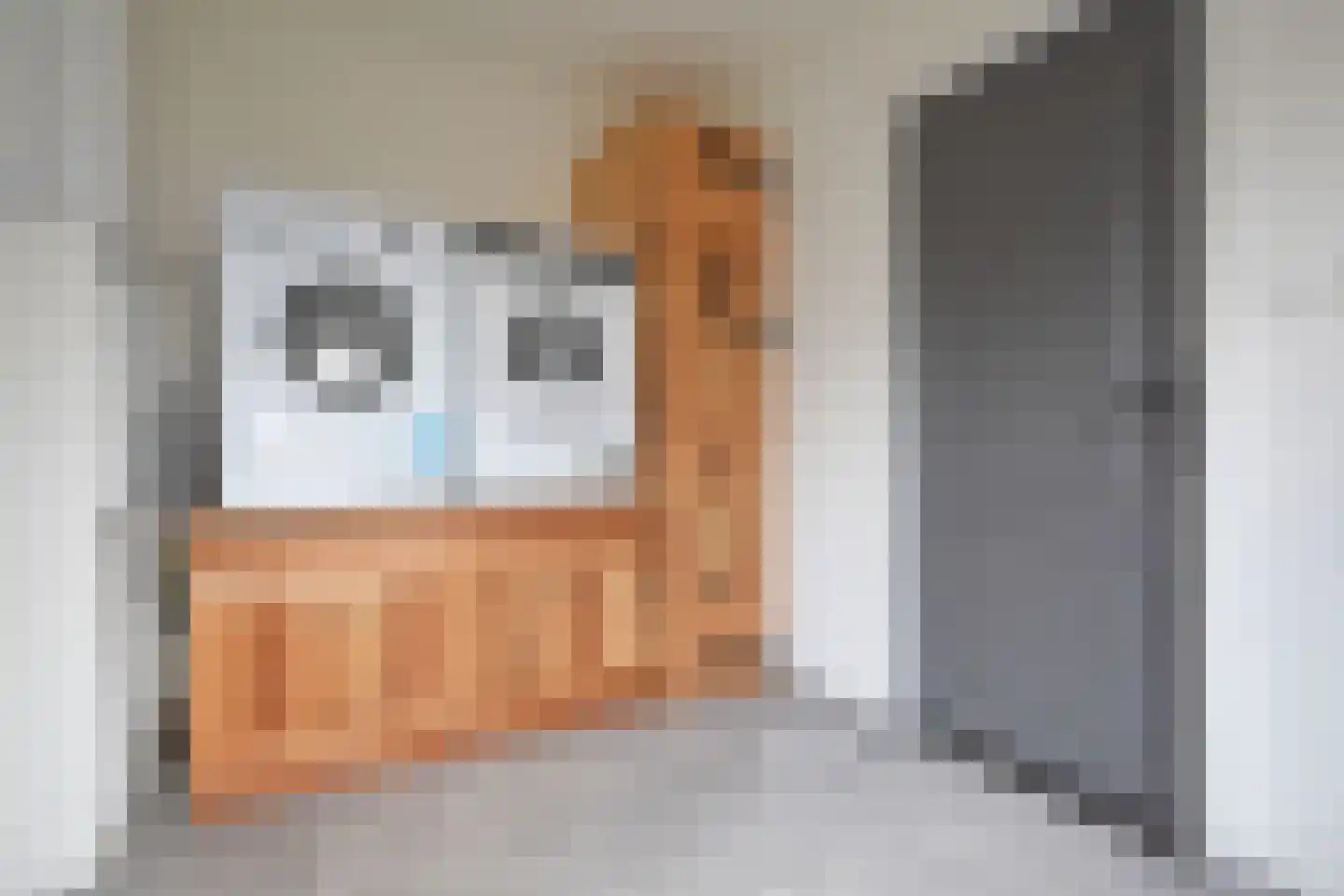 Joh. Falkenastraat 31 Burgum thumbnail 30