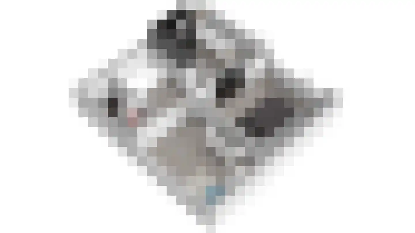 Joh. Falkenastraat 31 Burgum thumbnail 36