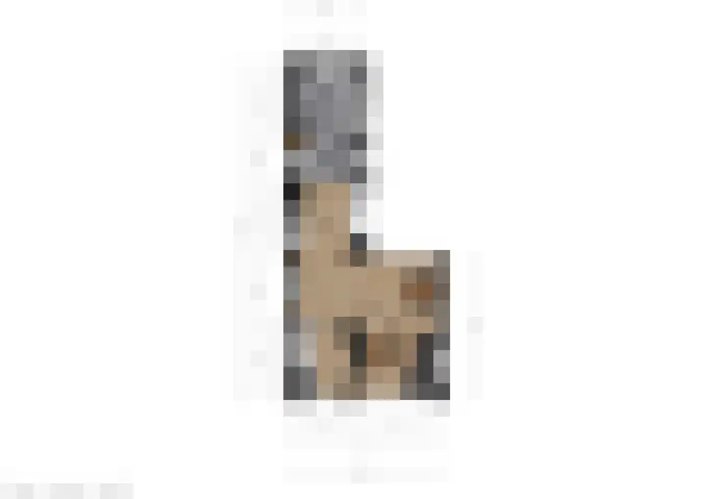 Joh. Falkenastraat 31 Burgum thumbnail 48