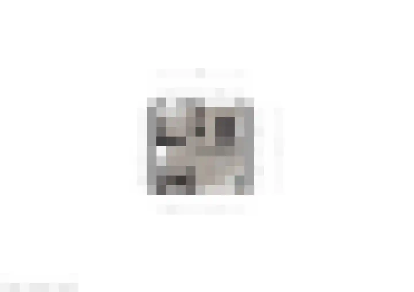 Joh. Falkenastraat 31 Burgum thumbnail 49
