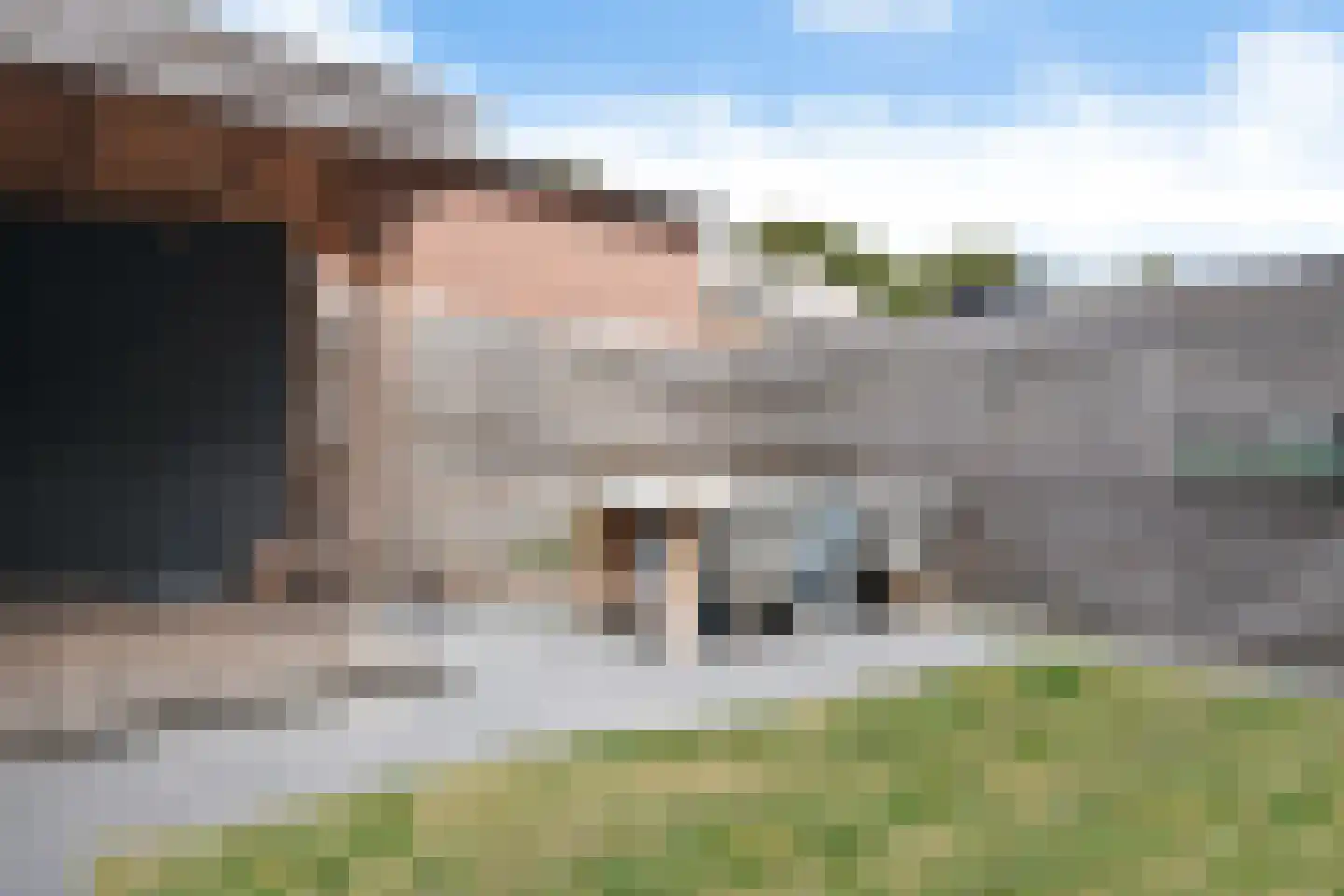 Joh. Falkenastraat 31 Burgum thumbnail 8
