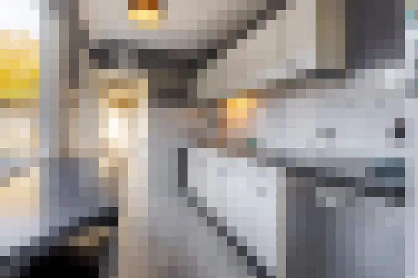 Joh. Kraaijeveldstraat 48 Sliedrecht thumbnail 13