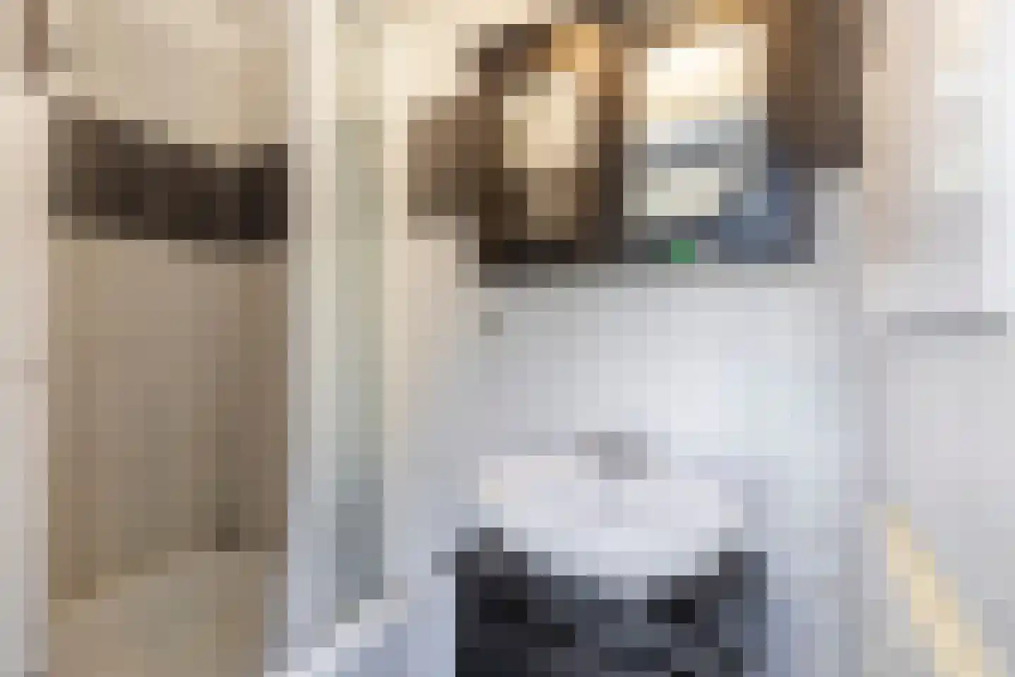 Joh. Kraaijeveldstraat 48 Sliedrecht thumbnail 15