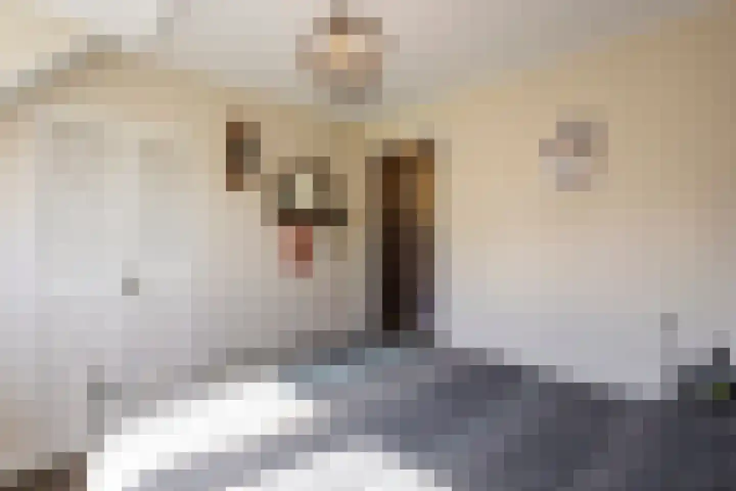 Joh. Kraaijeveldstraat 48 Sliedrecht thumbnail 18