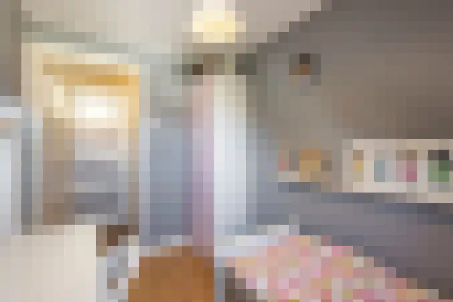 Joh. Kraaijeveldstraat 48 Sliedrecht thumbnail 20