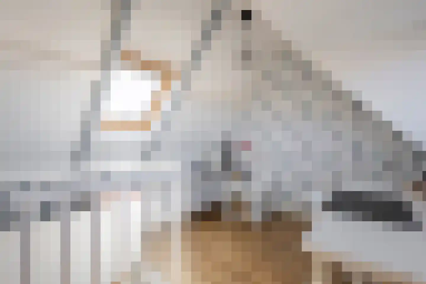 Joh. Kraaijeveldstraat 48 Sliedrecht thumbnail 25