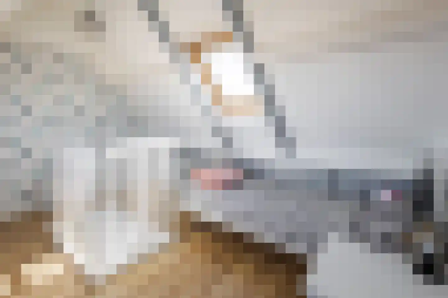 Joh. Kraaijeveldstraat 48 Sliedrecht thumbnail 26