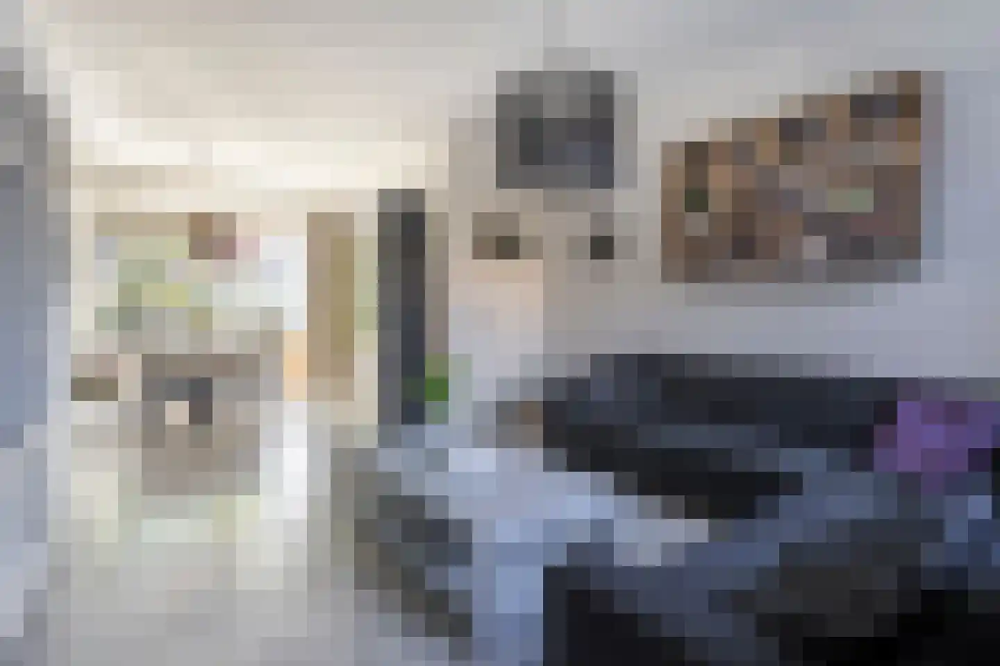 Joh. Kraaijeveldstraat 48 Sliedrecht thumbnail 4