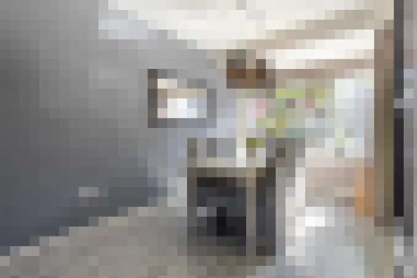 Joh. Kraaijeveldstraat 48 Sliedrecht thumbnail 7