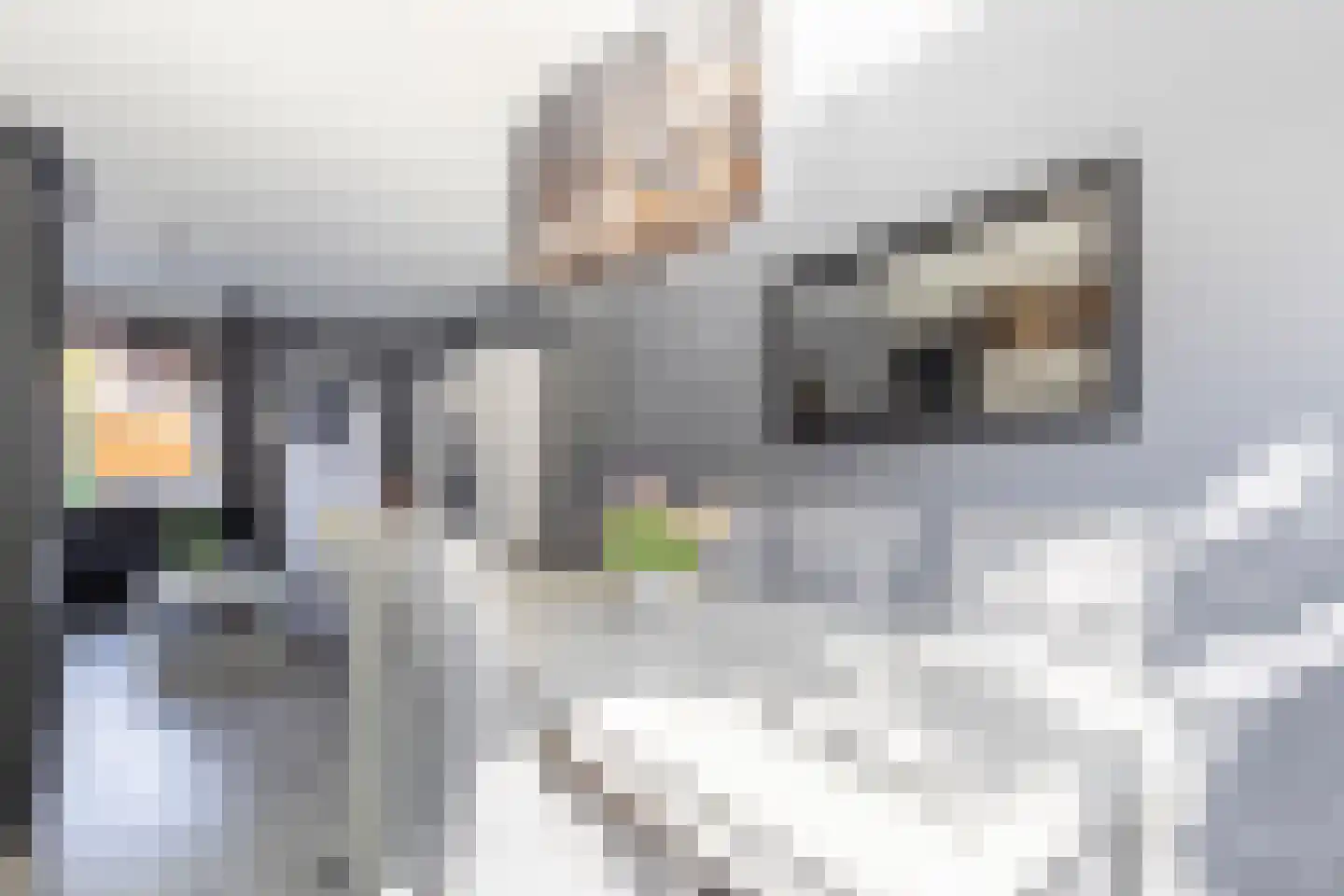 Joh. Kraaijeveldstraat 48 Sliedrecht thumbnail 9