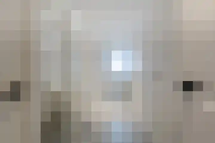 Joh. Kraaijeveldstraat 8 Sliedrecht thumbnail 10