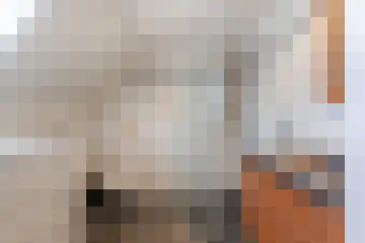 Joh. Kraaijeveldstraat 8 Sliedrecht thumbnail 14