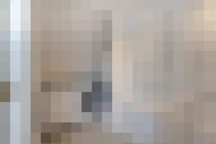 Joh. Kraaijeveldstraat 8 Sliedrecht thumbnail 16