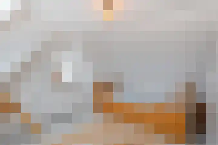 Joh. Kraaijeveldstraat 8 Sliedrecht thumbnail 17
