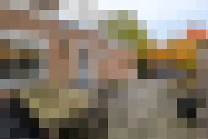 Joh. Kraaijeveldstraat 8 Sliedrecht thumbnail 19
