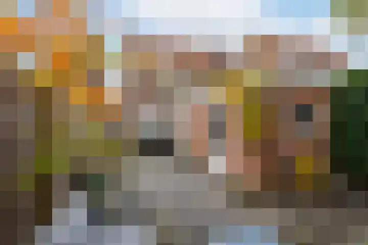 Joh. Kraaijeveldstraat 8 Sliedrecht thumbnail 21