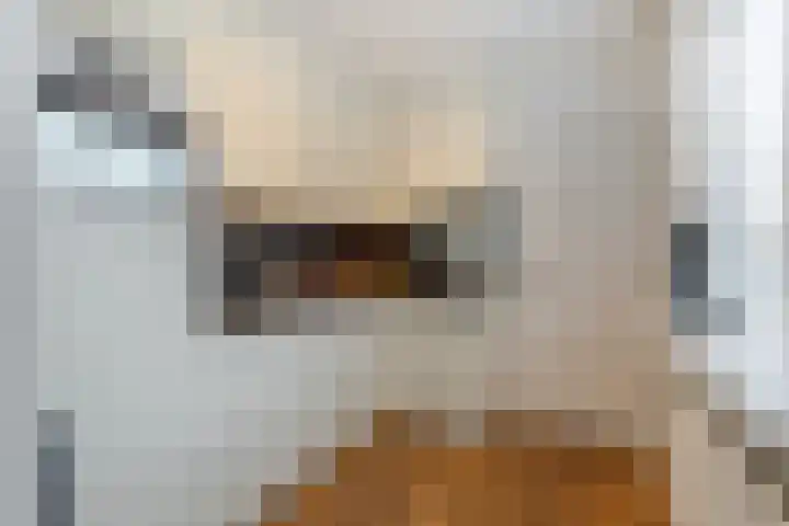 Joh. Kraaijeveldstraat 8 Sliedrecht thumbnail 7