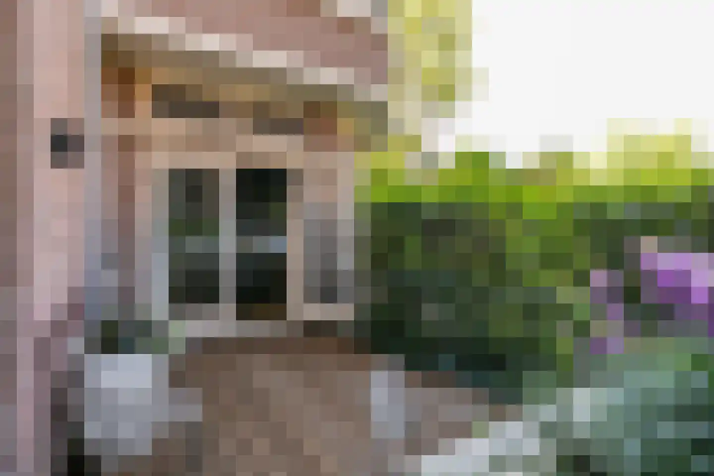 Joh.M. Coenenstraat 48 Amsterdam thumbnail 20